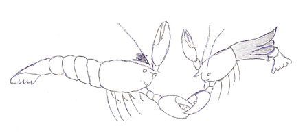 Dan Miller - dancing lobsters